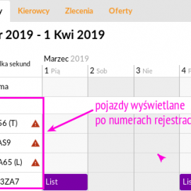 Ustawienia użytkownika wyświetlania kierowców oraz pojazdów